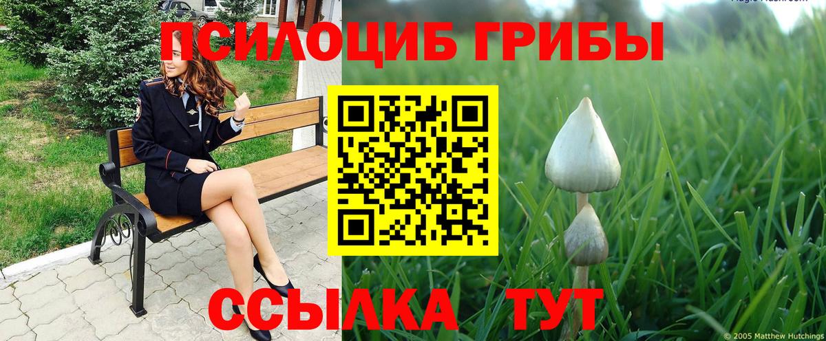 Галлюциногенные грибы Psilocybine cubensis Балаково