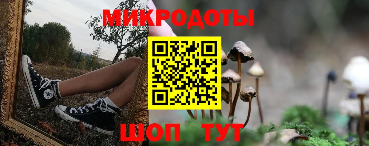 закладки  Вход с VPN  Балаково  Псилоцибиновые грибы мухоморы 