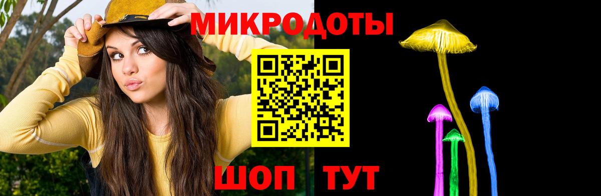 Галлюциногенные грибы Psilocybe  Галлюциногенные грибы прущие грибы  Балаково 